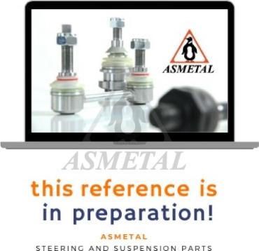 AS Metal 17MZ0800 - Наконечник рульової тяги, кульовий шарнір autocars.com.ua