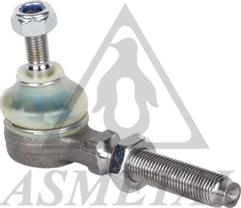 AS Metal 17RN1000 - Наконечник рульової тяги, кульовий шарнір autocars.com.ua
