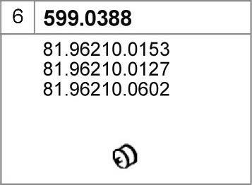 ASSO 599.0388 - Монтажный комплект, глушитель autodnr.net
