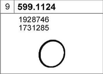 ASSO 599.1124 - Монтажний комплект, глушитель autocars.com.ua
