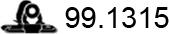 ASSO 99.1315 - Кронштейн, втулка, система выпуска ОГ avtokuzovplus.com.ua