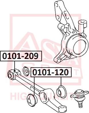 ASVA 0101-120 - Сайлентблок, рычаг подвески колеса avtokuzovplus.com.ua