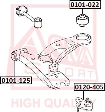 ASVA 0101-125 - Сайлентблок, рычаг подвески колеса avtokuzovplus.com.ua