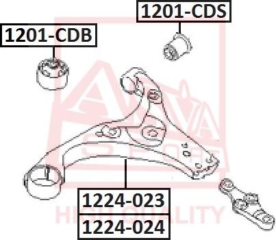 ASVA 1201-CDS - Сайлентблок, рычаг подвески колеса autodnr.net