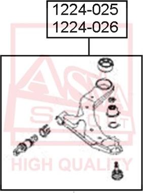 ASVA 1224-025 - Рычаг подвески колеса avtokuzovplus.com.ua