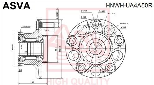 ASVA HNWH-UA4A50R - Ступица колеса, поворотный кулак avtokuzovplus.com.ua