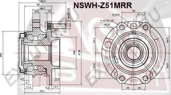 ASVA NSWH-Z51MRR - Ступица колеса, поворотный кулак autodnr.net