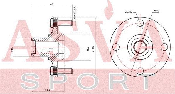 ASVA TYWH-NCP10F - Ступица колеса, поворотный кулак avtokuzovplus.com.ua