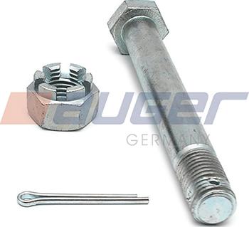 Auger 125623 - Ремкомплект, палець вушка ресори autocars.com.ua