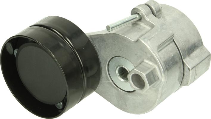 Auger 76012 - Натягувач ременя, клинові зуб. autocars.com.ua