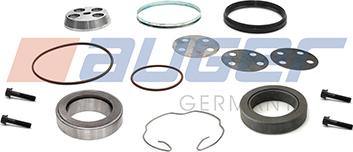 Auger 76655 - Ремонтний набір, поворотний кулак (опора пружини) autocars.com.ua