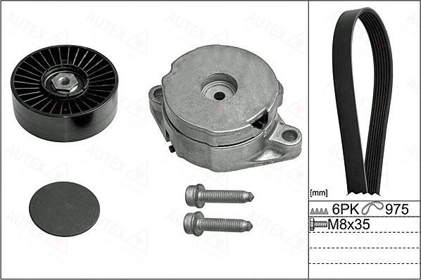 Autex 702895 - Поликлиновий ремінний комплект autocars.com.ua