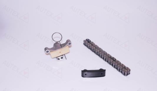 Autex 711139 - Комплект ланцюга приводу распредвала autocars.com.ua
