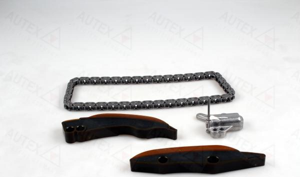 Autex 711363 - Комплект ланцюга приводу распредвала autocars.com.ua
