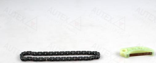Autex 711374 - Комплект ланцюга, привід масляного насоса autocars.com.ua