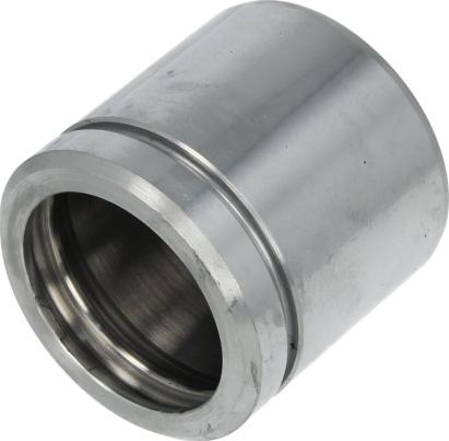 AUTOFREN SEINSA D025107 - Поршень, корпус скоби гальма autocars.com.ua