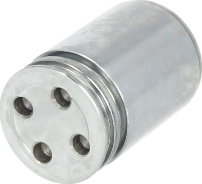 AUTOFREN SEINSA D025241 - Поршень, корпус скоби гальма autocars.com.ua