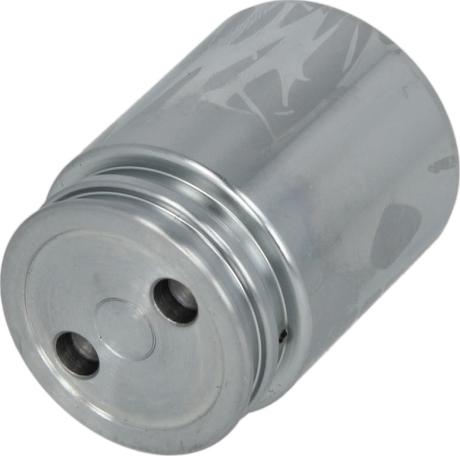 AUTOFREN SEINSA D025251 - Поршень, корпус скоби гальма autocars.com.ua