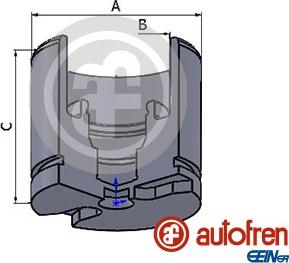 AUTOFREN SEINSA D025256 - Поршень, корпус скобы тормоза avtokuzovplus.com.ua