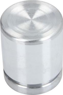 AUTOFREN SEINSA D025332 - Поршень, корпус скоби гальма autocars.com.ua