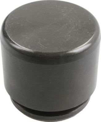 AUTOFREN SEINSA D025367 - Поршень, корпус скоби гальма autocars.com.ua