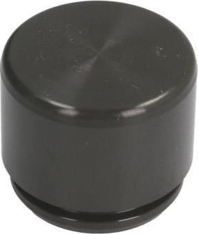 AUTOFREN SEINSA D025368 - Поршень, корпус скоби гальма autocars.com.ua