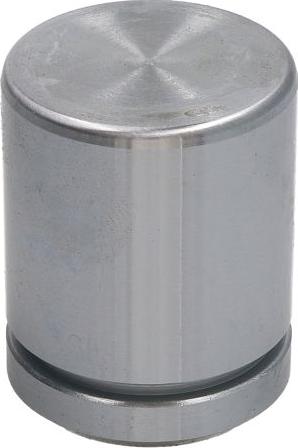 AUTOFREN SEINSA D025386 - Поршень, корпус скоби гальма autocars.com.ua