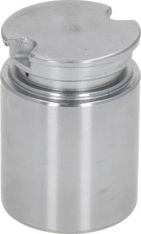 AUTOFREN SEINSA D025435 - Поршень, корпус скоби гальма autocars.com.ua