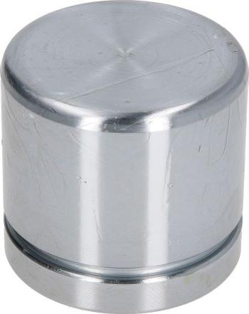 AUTOFREN SEINSA D025491 - Поршень, корпус скоби гальма autocars.com.ua