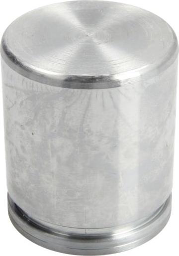 AUTOFREN SEINSA D025502 - Поршень, корпус скоби гальма autocars.com.ua