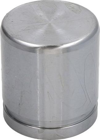 AUTOFREN SEINSA D025547 - Поршень, корпус скоби гальма autocars.com.ua