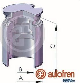 AUTOFREN SEINSA D025577 - Поршень, корпус скобы тормоза avtokuzovplus.com.ua