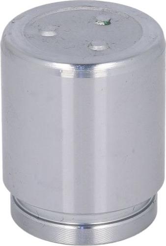 AUTOFREN SEINSA D025626 - Поршень, корпус скоби гальма autocars.com.ua