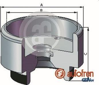 AUTOFREN SEINSA D025721 - Поршень, корпус скобы тормоза avtokuzovplus.com.ua