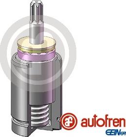 AUTOFREN SEINSA D025738K - Поршень, корпус скобы тормоза avtokuzovplus.com.ua