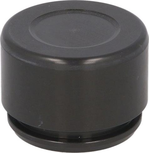 AUTOFREN SEINSA D025775 - Поршень, корпус скоби гальма autocars.com.ua