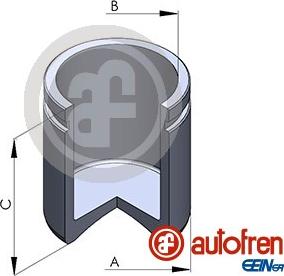 AUTOFREN SEINSA D025889 - Поршень, корпус скоби гальма autocars.com.ua