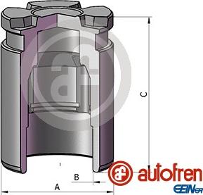 AUTOFREN SEINSA D025805 - Поршень, корпус скобы тормоза avtokuzovplus.com.ua