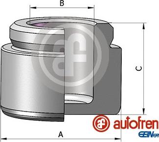 AUTOFREN SEINSA D025807 - Поршень, корпус скоби гальма autocars.com.ua