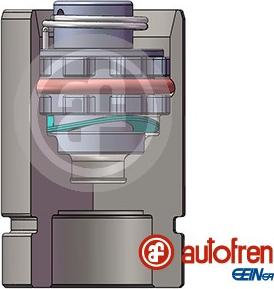 AUTOFREN SEINSA D02589K - Поршень, корпус скобы тормоза avtokuzovplus.com.ua