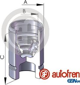 AUTOFREN SEINSA D02589 - Поршень, корпус скоби гальма autocars.com.ua