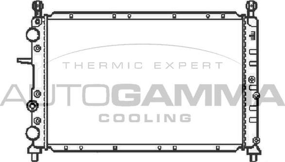 Autogamma 100017 - Радиатор, охлаждение двигателя autodnr.net