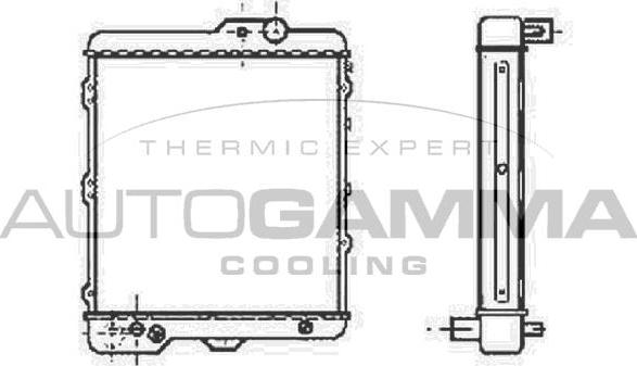 Autogamma 100042 - Радіатор, охолодження двигуна autocars.com.ua