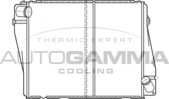Autogamma 100081 - Радіатор, охолодження двигуна autocars.com.ua