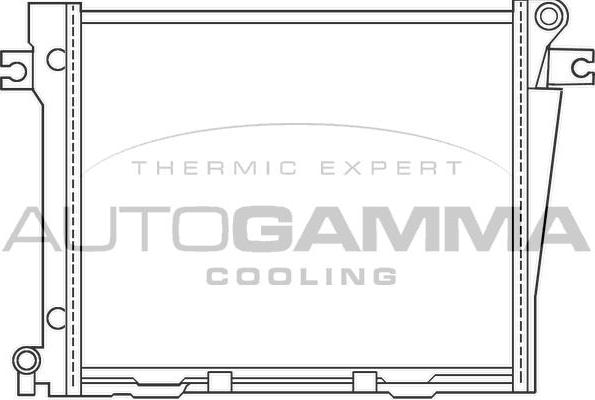 Autogamma 100104 - Радиатор, охлаждение двигателя autodnr.net