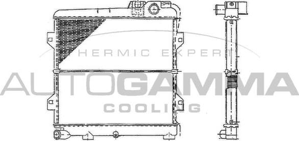 Autogamma 100115 - Радіатор, охолодження двигуна autocars.com.ua