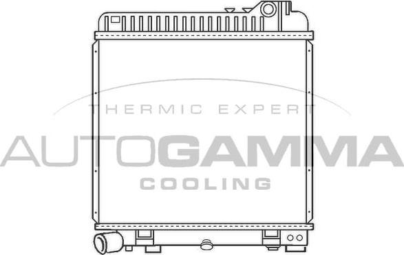 Autogamma 100117 - Радіатор, охолодження двигуна autocars.com.ua