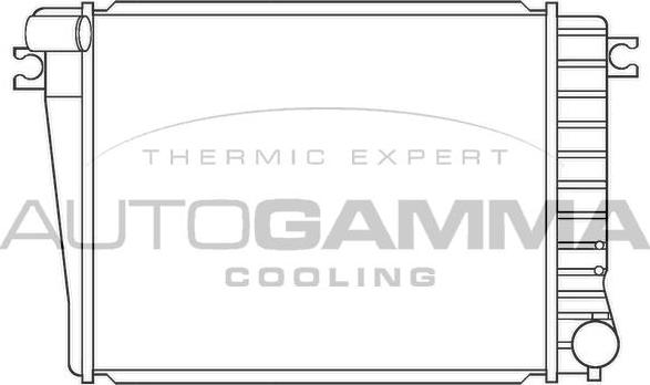 Autogamma 100134 - Радіатор, охолодження двигуна autocars.com.ua