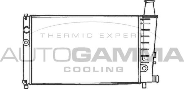 Autogamma 100166 - Радіатор, охолодження двигуна autocars.com.ua