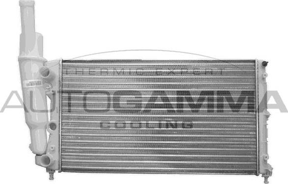 Autogamma 100294 - Радіатор, охолодження двигуна autocars.com.ua